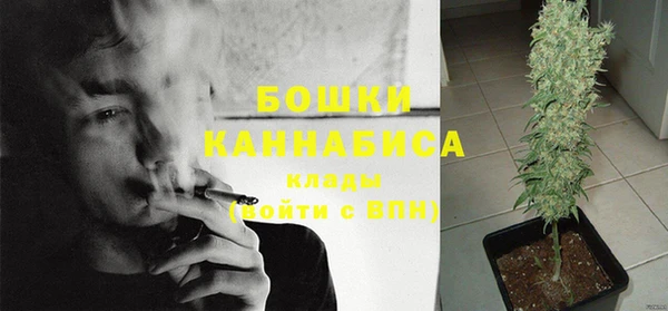 PSILOCYBIN Вяземский