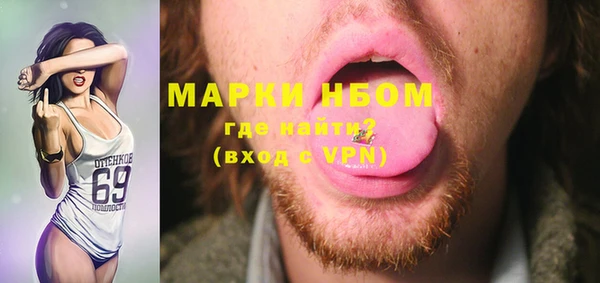 PSILOCYBIN Вяземский