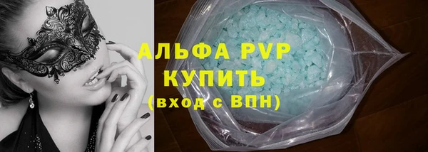 PSILOCYBIN Вяземский