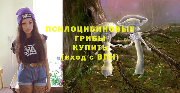 PSILOCYBIN Вяземский