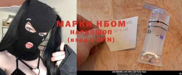 гашик Новозыбков