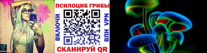 купить наркоту  Елец  mega вход  Псилоцибиновые грибы Cubensis 